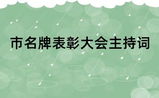 市名牌表彰大会主持词