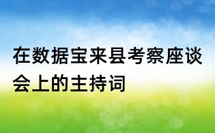 在数据宝来县考察座谈会上的主持词