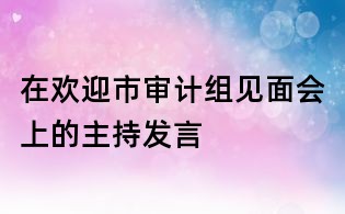 在欢迎市审计组见面会上的主持发言