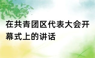 在共青团区代表大会开幕式上的讲话