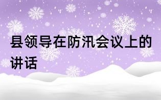 县领导在防汛会议上的讲话