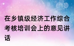 在乡镇级经济工作综合考核培训会上的意见讲话