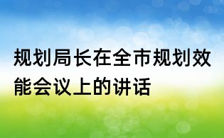 规划局长在全市规划效能会议上的讲话