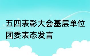 五四表彰大会基层单位团委表态发言