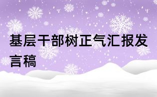 基层干部树正气汇报发言稿