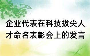 企业代表在科技拔尖人才命名表彰会上的发言