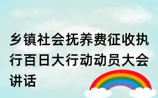 乡镇社会抚养费征收执行百日大行动动员大会讲话