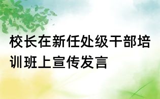 校长在新任处级干部培训班上宣传发言