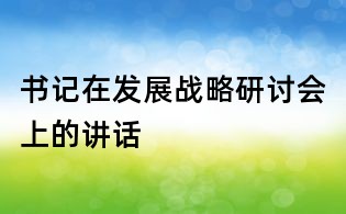 书记在发展战略研讨会上的讲话