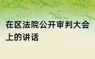 在区法院公开审判大会上的讲话