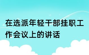 在选派年轻干部挂职工作会议上的讲话