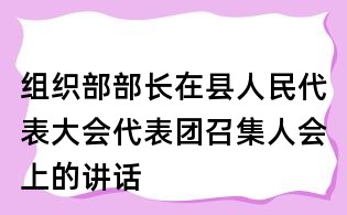 组织部部长在县人民代表大会代表团召集人会上的讲话