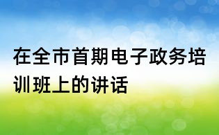 在全市首期电子政务培训班上的讲话