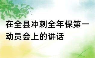 在全县冲刺全年保第一动员会上的讲话