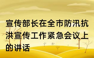 宣传部长在全市防汛抗洪宣传工作紧急会议上的讲话