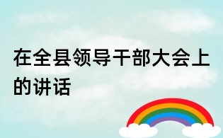在全县领导干部大会上的讲话