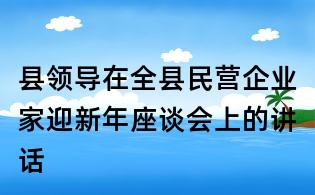 县领导在全县民营企业家迎新年座谈会上的讲话