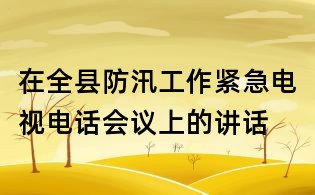 在全县防汛工作紧急电视电话会议上的讲话