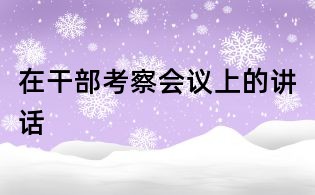 在干部考察会议上的讲话