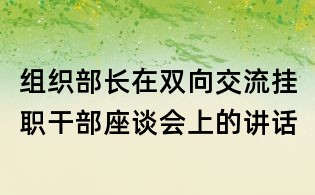 组织部长在双向交流挂职干部座谈会上的讲话