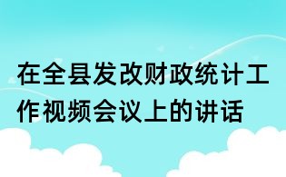 在全县发改财政统计工作视频会议上的讲话