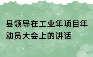 县领导在工业年项目年动员大会上的讲话