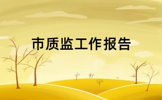 市质监工作报告