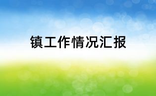 镇工作情况汇报