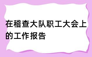 在稽查大队职工大会上的工作报告