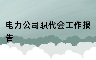 电力公司职代会工作报告