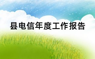 县电信年度工作报告