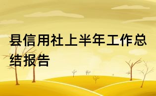 县信用社上半年工作总结报告