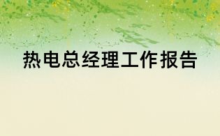 热电总经理工作报告