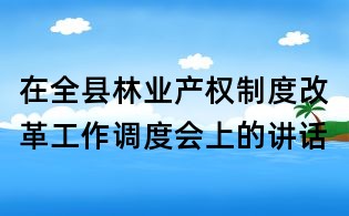 在全县林业产权制度改革工作调度会上的讲话