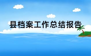 县档案工作总结报告