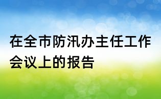 在全市防汛办主任工作会议上的报告