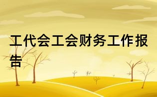工代会工会财务工作报告