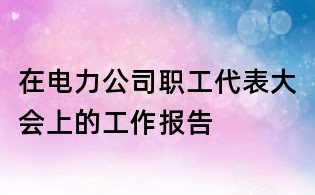 在电力公司职工代表大会上的工作报告