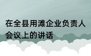 在全县用滩企业负责人会议上的讲话