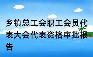 乡镇总工会职工会员代表大会代表资格审批报告