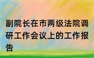 副院长在市两级法院调研工作会议上的工作报告