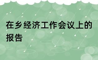 在乡经济工作会议上的报告