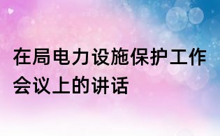 在局电力设施保护工作会议上的讲话