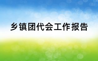 乡镇团代会工作报告