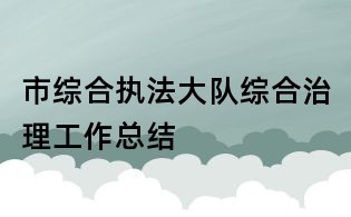 市综合执法大队综合治理工作总结