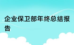 企业保卫部年终总结报告