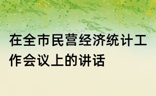 在全市民营经济统计工作会议上的讲话