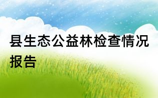 县生态公益林检查情况报告