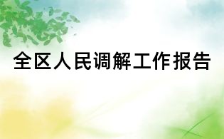 全区人民调解工作报告