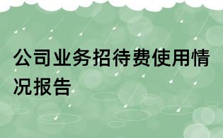 公司业务招待费使用情况报告
